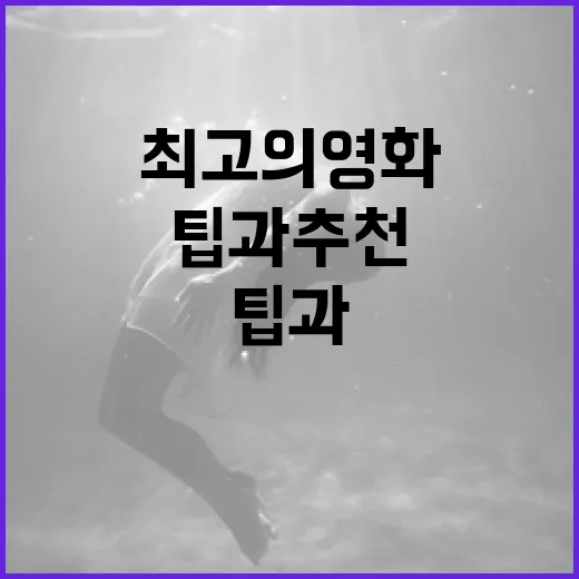 넘버원 영화 찾는 방법: 최고의 영화를 고르는 팁과 추천 - 요약