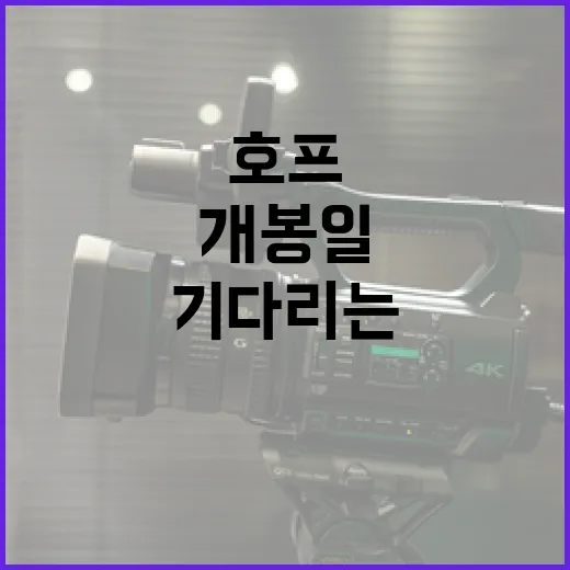 호프 개봉일을 기다리는 팬들을 위한 준비 방법 - 요약