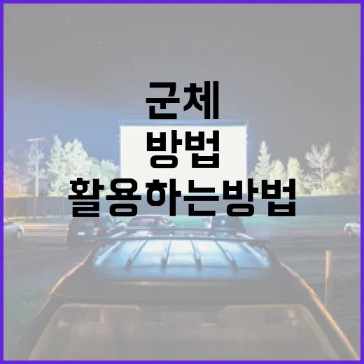 군체를 이해하고 활용하는 방법 - 요약