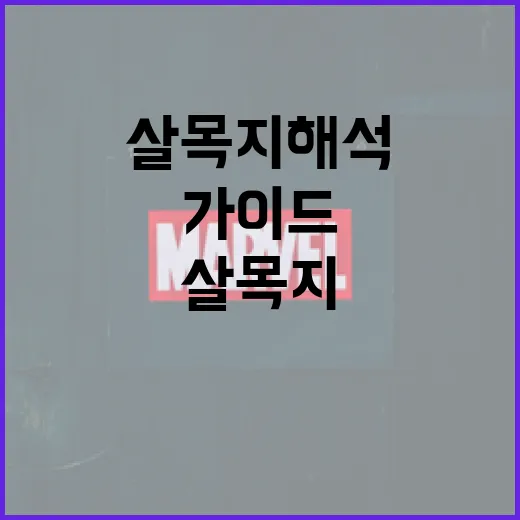 살목지 해석하는 방법: 초보자를 위한 가이드 - 요약