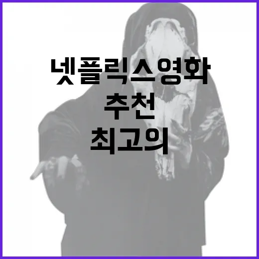 최고의 넷플릭스 영화를 추천받는 방법 - 요약