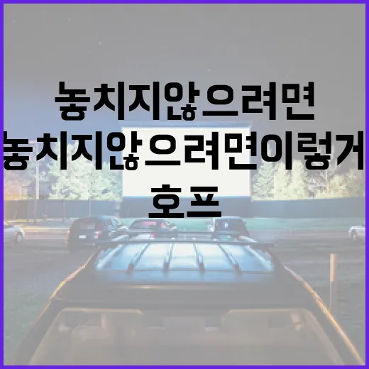 영화 호프를 즐기는 방법: 감동적인 순간을 놓치지 않으려면 이렇게! - 요약