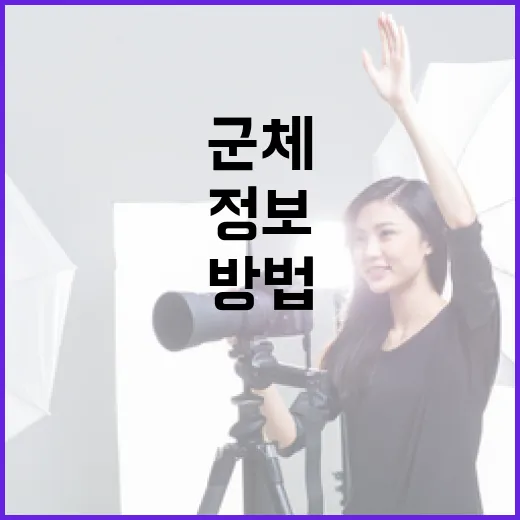 군체 정보를 이해하고 활용하는 방법 - 요약