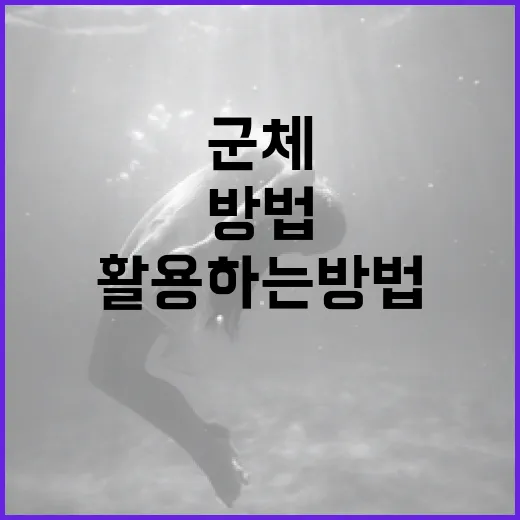 군체를 이해하고 활용하는 방법 - 요약