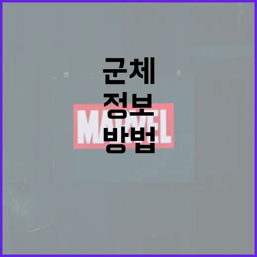 군체 정보를 이해하고 활용하는 방법 - 요약