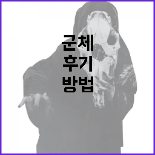 군체 후기를 제대로 작성하는 방법 - 요약
