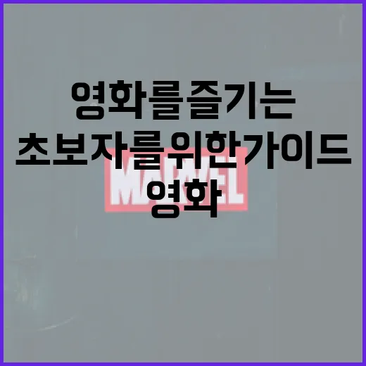넌센스 영화를 즐기는 방법: 초보자를 위한 가이드 - 요약