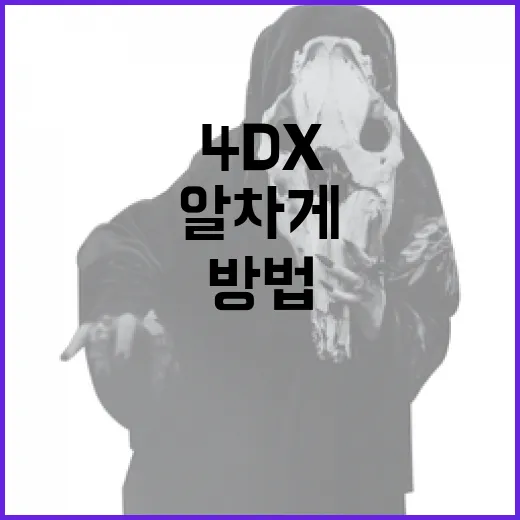 군체 4DX를 알차게 즐기는 방법 - 요약