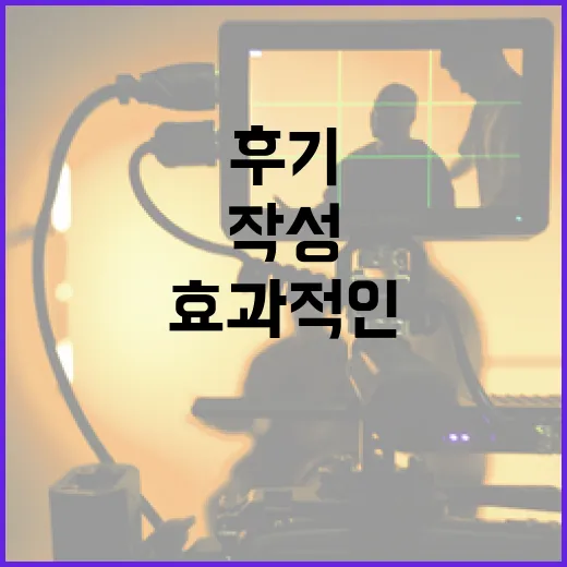 군체 후기 작성하는 방법: 효과적인 피드백 주기 - 요약