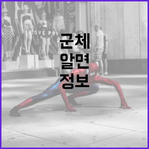 군체 정보에 대해 알면 좋은 것들 - 요약