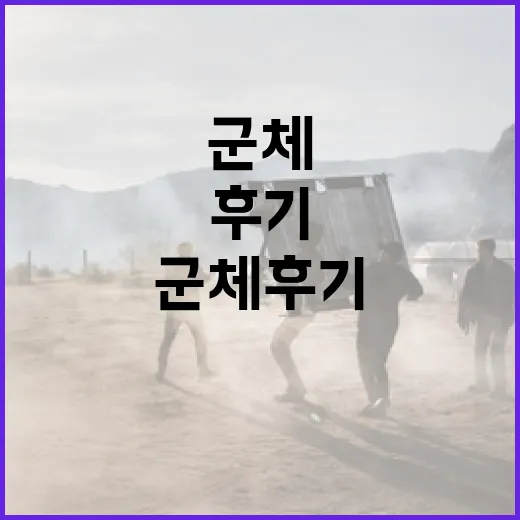 군체 후기: 생생한 경험을 나눠요 - 요약