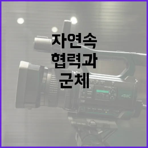 군체를 이해하는 방법: 자연 속의 협력과 조화 - 요약