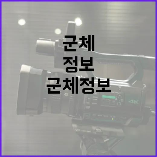 군체 정보 제대로 이해하는 방법 - 요약