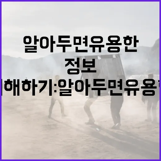 군체 정보 제대로 이해하기: 알아두면 유용한 팁 - 요약