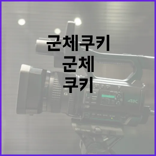 군체 쿠키, 꼭 필요한가요? - 요약
