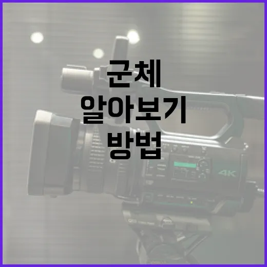 군체 평점 알아보기: 제대로 활용하는 방법 - 요약