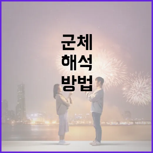 군체 해석을 이해하는 방법 - 요약