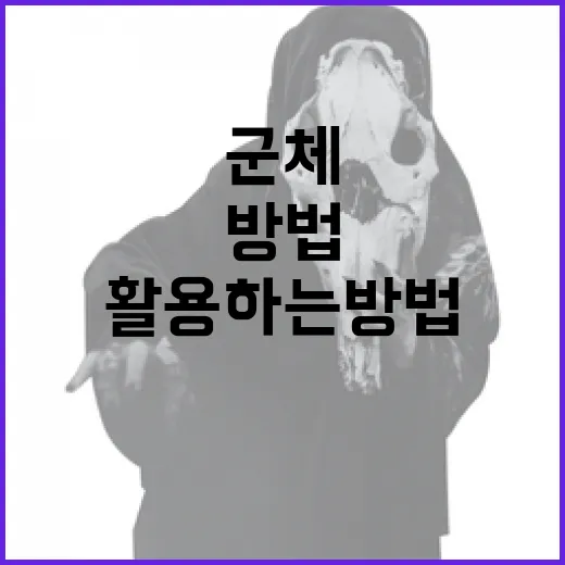 군체를 이해하고 활용하는 방법 - 요약