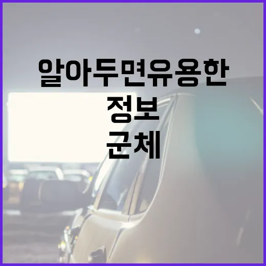 알아두면 유용한 군체 정보, 쉽게 이해하기 - 요약
