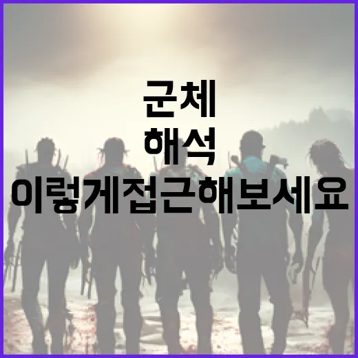 군체 해석, 이렇게 접근해보세요! - 요약