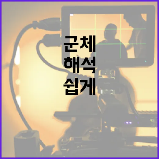 군체 해석을 이해하는 방법: 쉽게 접근하기 - 요약