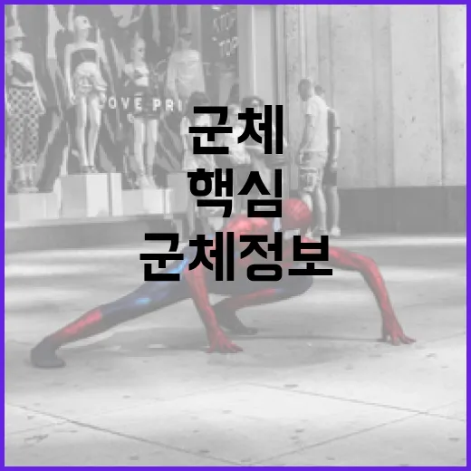 군체 정보를 알아보는 방법: 핵심 개념부터 활용까지 - 요약