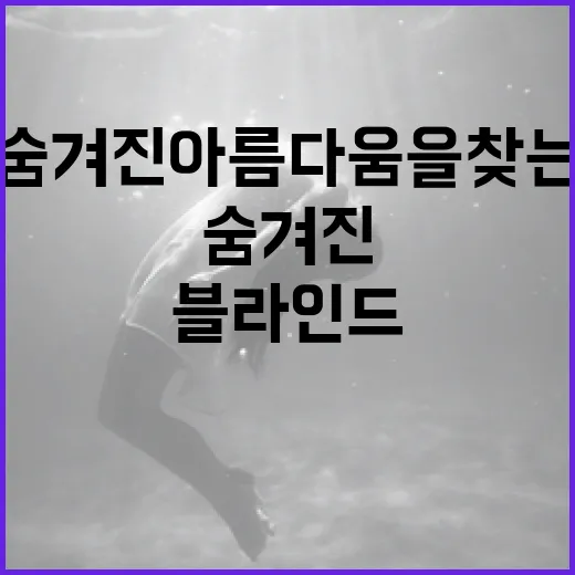 블라인드 멜로디: 숨겨진 아름다움을 찾는 방법 - 요약