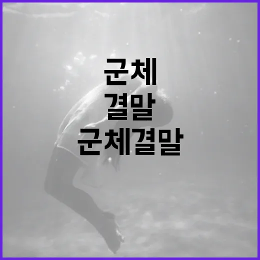 군체 결말을 이해하는 방법 - 요약