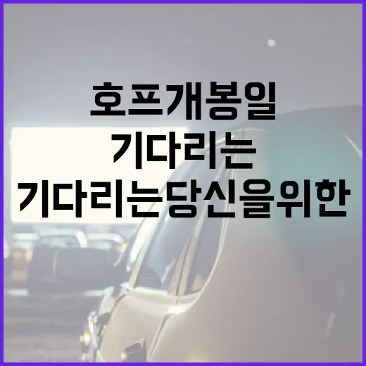 호프 개봉일을 기다리는 당신을 위한 모든 것 - 요약