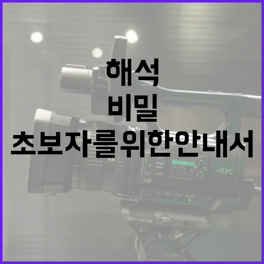 백룸 해석의 비밀: 초보자를 위한 안내서 - 요약