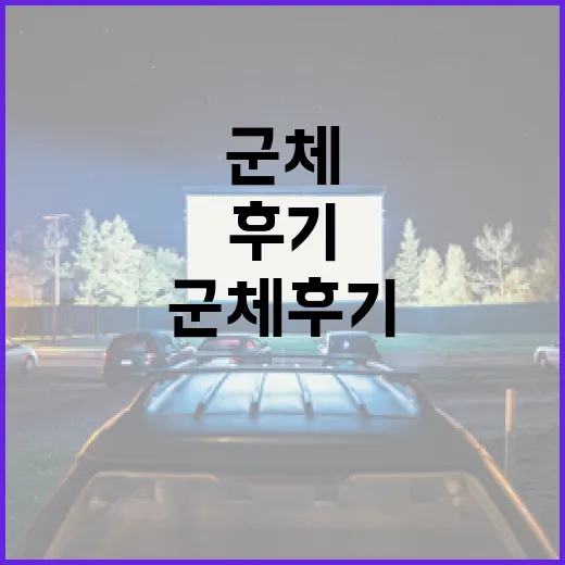 군체 후기: 군 생활 중 가장 기억에 남는 순간들 - 요약
