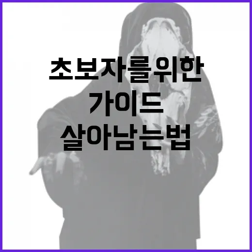 백룸에서 살아남는 법: 초보자를 위한 가이드 - 요약