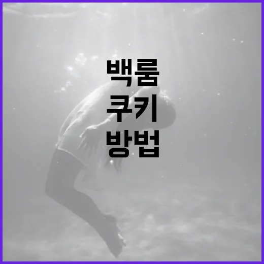 백룸 쿠키를 만드는 재미있는 방법 - 요약