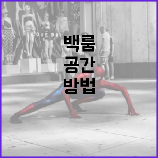 백룸: 미스터리한 공간을 탐험하는 방법 - 요약