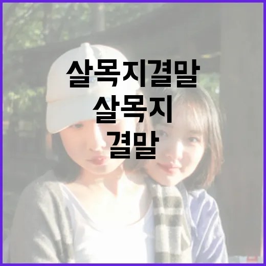 살목지 결말에 대해 알아보는 흥미로운 이야기 - 요약