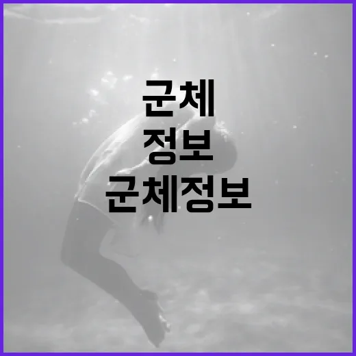 군체 정보를 이해하고 활용하는 방법 - 요약