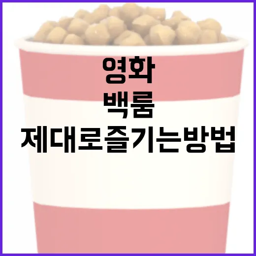 영화 '백룸'을 제대로 즐기는 방법 - 요약
