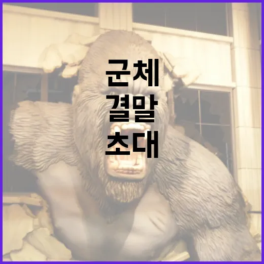군체 결말, 그 매력적인 세계로의 초대 - 요약