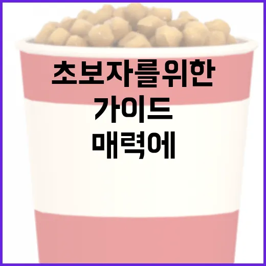 와일드 씽의 매력에 빠져볼까요? 초보자를 위한 가이드 - 요약
