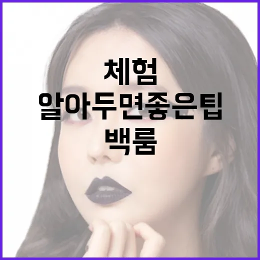 백룸 체험하기: 알아두면 좋은 팁 - 요약