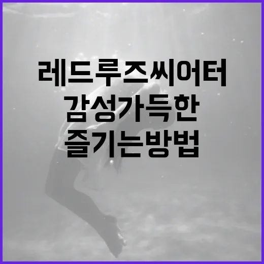 레드루즈씨어터에서 감성 가득한 공연을 즐기는 방법 - 요약