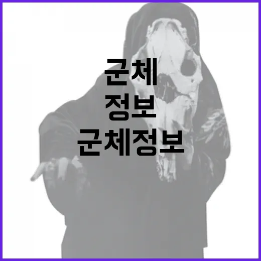 군체 정보를 제대로 이해하는 방법 - 요약