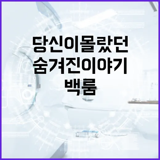 영화 백룸, 당신이 몰랐던 숨겨진 이야기 - 요약