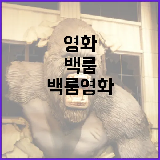 백룸 영화 이해하기: 당신이 놓치고 있는 것들 - 요약
