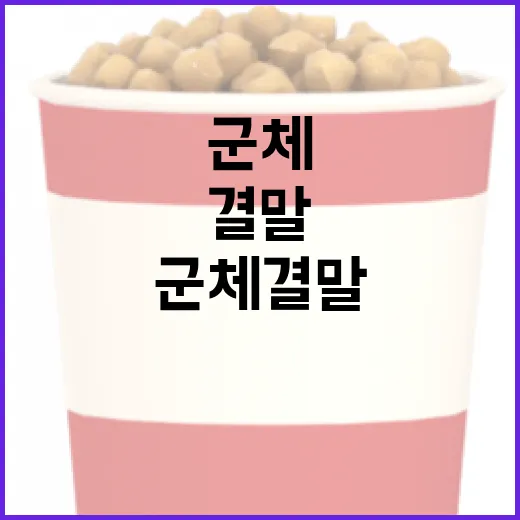 군체 결말, 어떻게 이해하고 활용할까? - 요약