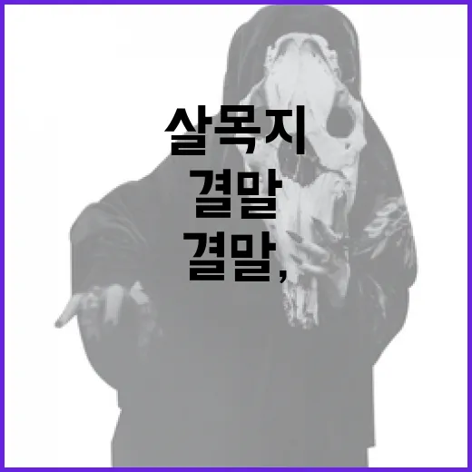 드라마 '살목지' 결말, 그 매혹적인 여운의 비밀 - 요약