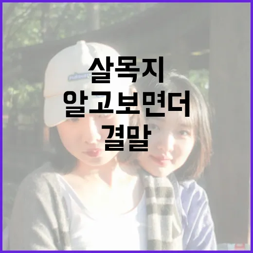 알고 보면 더 재미있는 살목지 결말 이해하기 - 요약