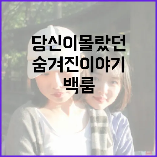 영화 백룸: 당신이 몰랐던 숨겨진 이야기 - 요약
