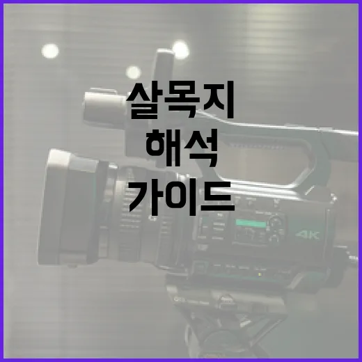 살목지를 해석하는 방법: 초보자를 위한 가이드 - 요약