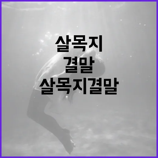 살목지 결말을 이해하는 방법 - 요약